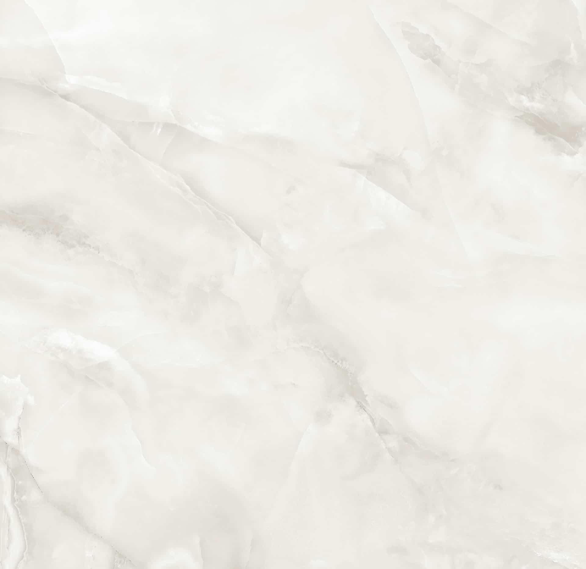 Potomac Bianco