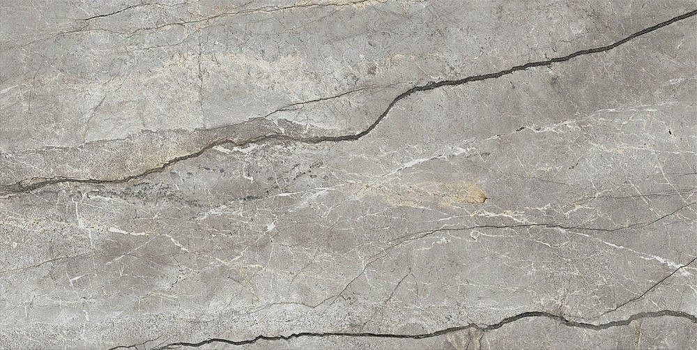 Silver Root Grey